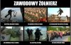 Pod rządami pisu