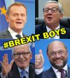 Brexit Boys
