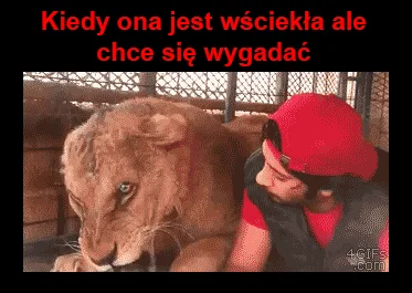 Widać, że gość jest żonaty