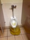 PISuar 