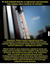 Debilizm Amerykanów jest wprost proporcjonalny...