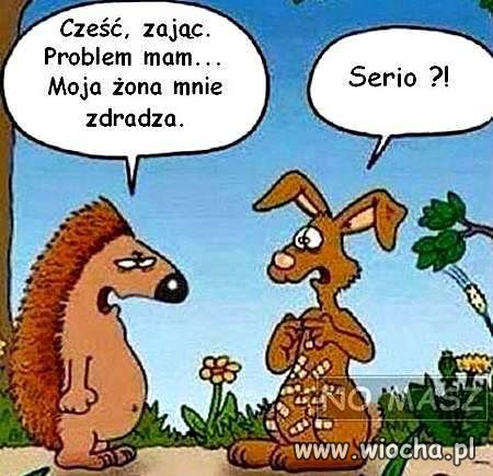 Cześć, zając...