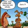 Cześć, zając...