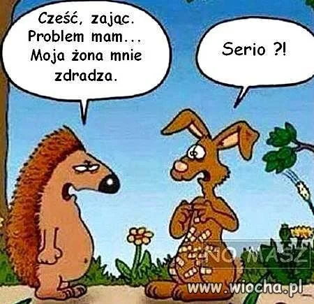 Cześć, zając...