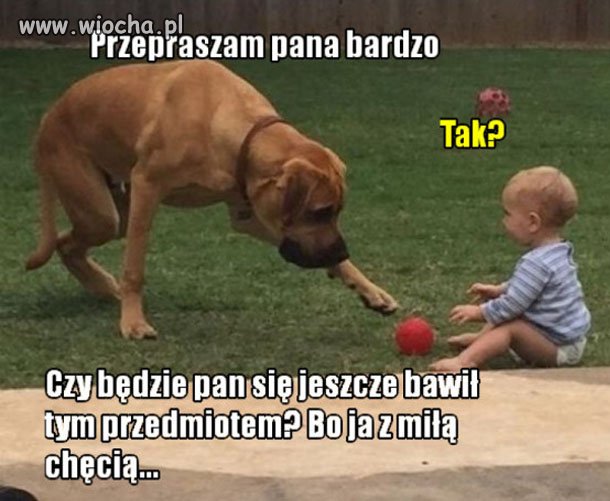 Przepraszam Pana bardzo 