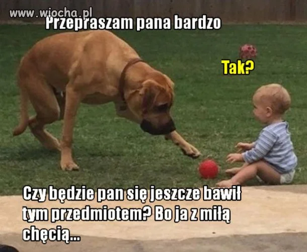 Przepraszam Pana bardzo 
