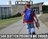 Coś w tym jest 