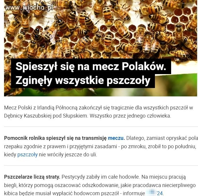 Taki kibic to skarb.