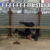 F-F-F-F-F-F-F-F-FRISTAJLA
