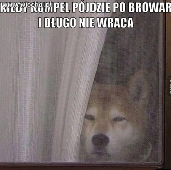 Niecierpliwość...