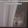 Niecierpliwość...