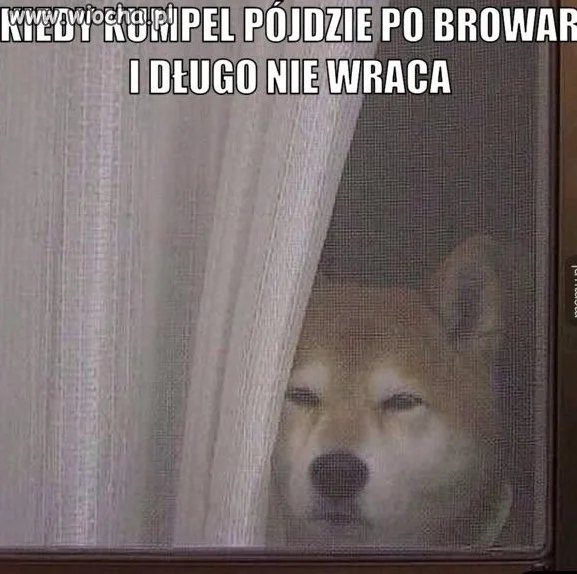 Niecierpliwość...