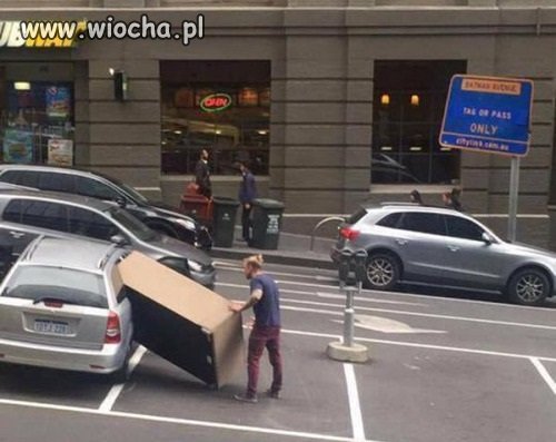 Mistrz przewożenia