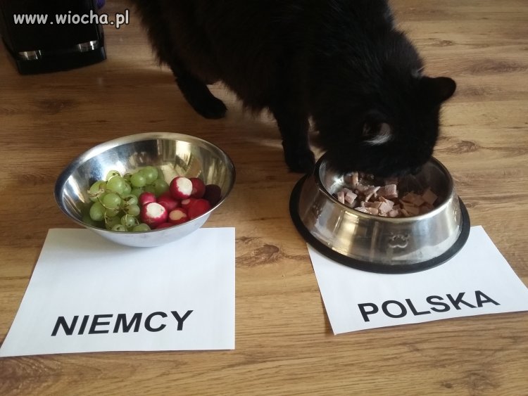 Sierściuch już wylosował zwycięzcę meczu