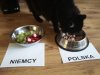 Sierściuch już wylosował zwycięzcę meczu