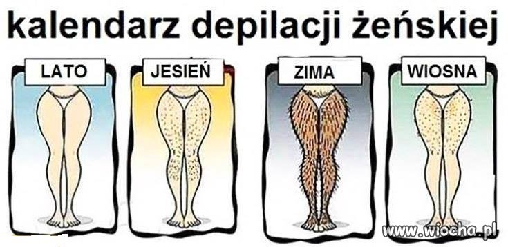 Kolej rzeczy
