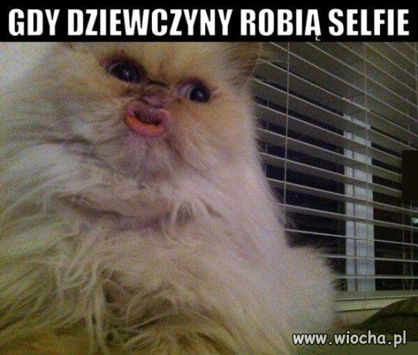 Selfie z dzióbkiem.