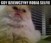 Selfie z dzióbkiem.