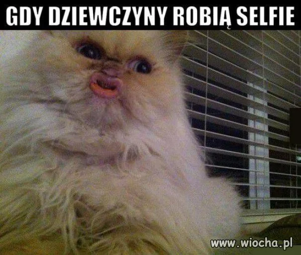 Selfie z dzióbkiem.