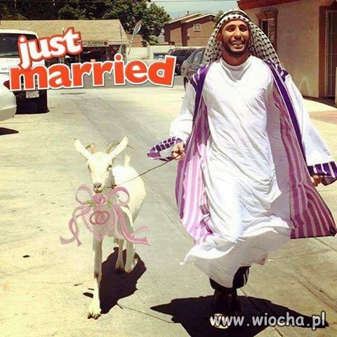 Właśnie się