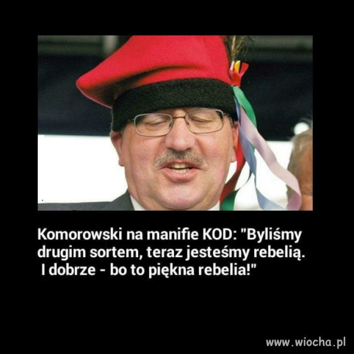 Piękny Rebeliant 