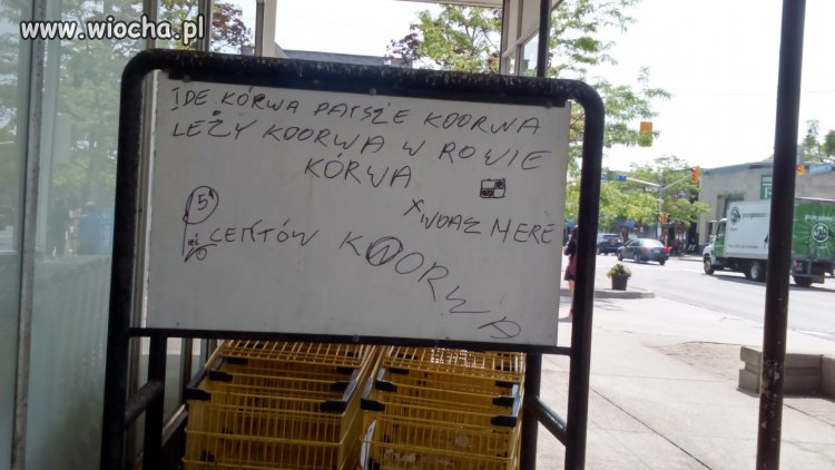 Rodacy na emigracji