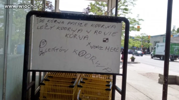 Rodacy na emigracji