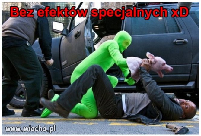 Szukamy człowieka do obsługi psiej głowy