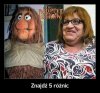 The Muppet Show