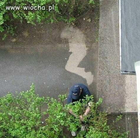 Jak dobrze wstać skoro świt 