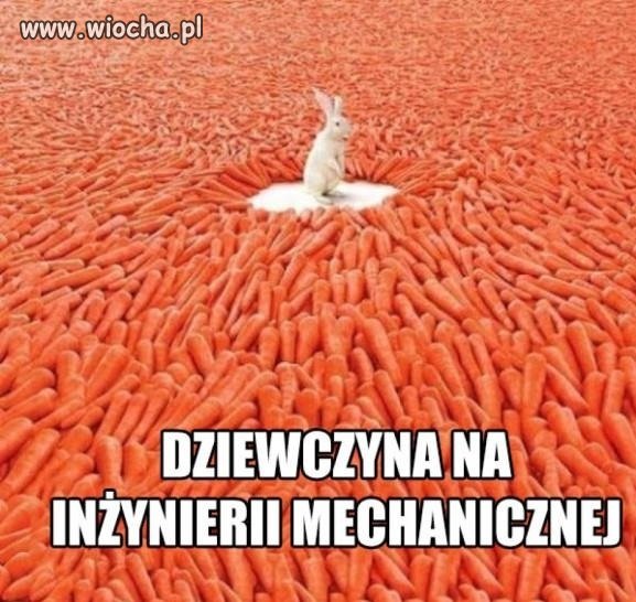 Dziewczyna na inżynierii mechanicznej