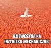 Dziewczyna na inżynierii mechanicznej