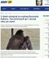 Wybieg Ryśka.