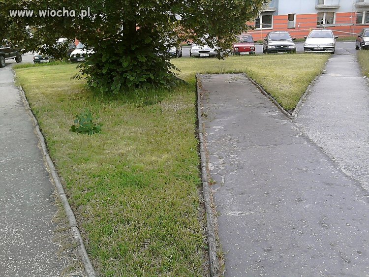 Którą ścieżkę by wybrać?