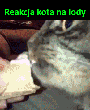 Eksplozja smaku.