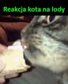 Eksplozja smaku.