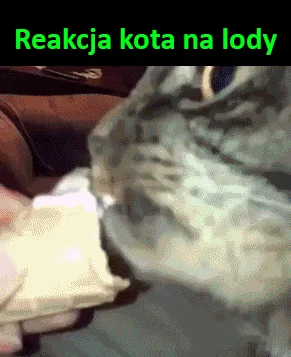 Eksplozja smaku.