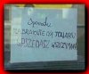 Ojczyzna