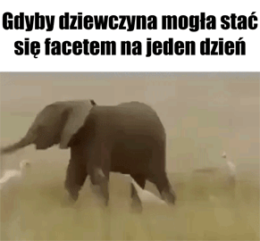 Gdyby