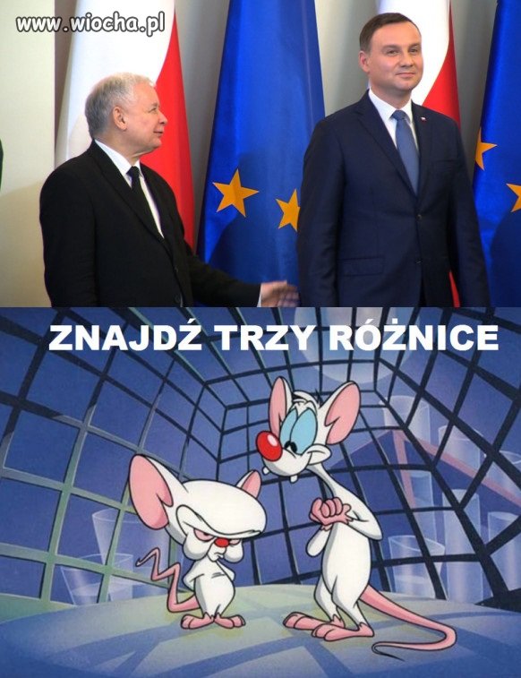 Coś w tym jest.