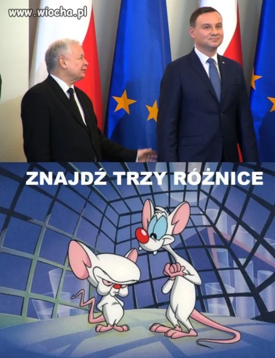 Coś w tym jest.