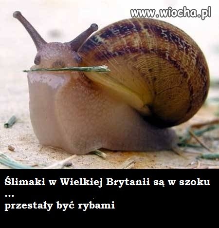 Wielka Brytania opuściła UE