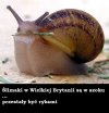 Wielka Brytania opuściła UE