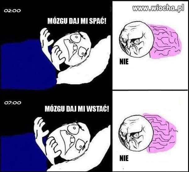 Mózg to psychopata
