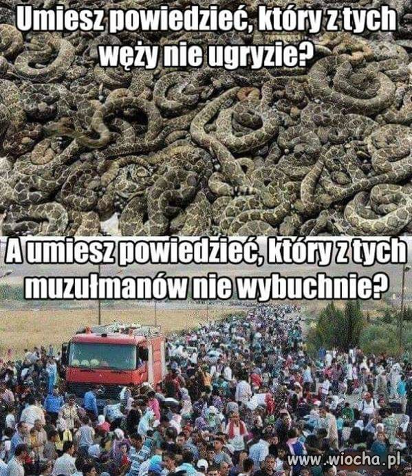 Do przywódców UE