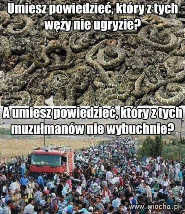 Do przywódców UE