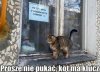 Tymczasem w Rosji