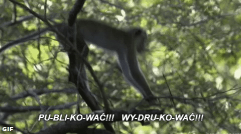W obronie Księgi Dżungli