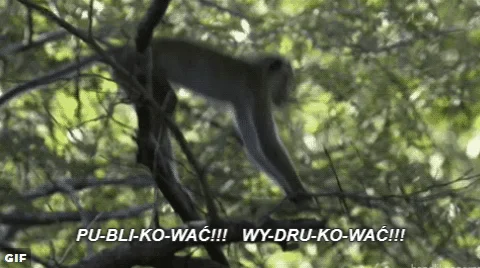 W obronie Księgi Dżungli