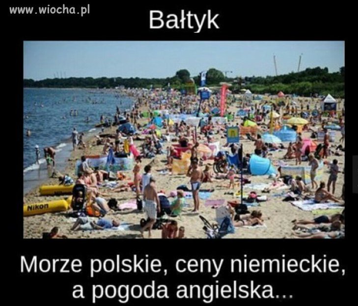 Dzięki islamowi...